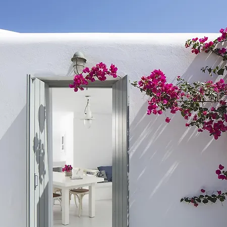 Villa Thea Collection