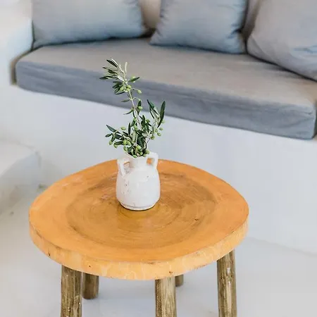 Thea Collection Villa Mykonos Town